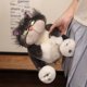 thumbnail image 3 of Animal de peluche NQ gato de ojos grandes con almohada de peluche, 3 of 5
