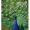 thumbnail image 3 of Living Wild: Peacocks (Paperback), 3 of 3