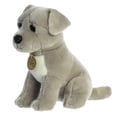 thumbnail image 1 of Aurora - Miyoni - 9" Pit Bull Puppy, 1 of 4
