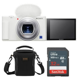 DSC-RX100M5 RX100 V Cyber-shot Digital Camera - Walmart.com
