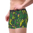 thumbnail image 2 of Pofeuu Cactus 1 Print Men’s Boxer Briefs, Moisture-Wicking Underwear, Regular,Trunk-X-Large, 2 of 5