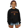 thumbnail image 2 of Harry Potter Girls Gryffindor Crest Sweatshirt, 2 of 3