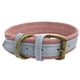 thumbnail image 2 of Collar de cuero para perro, conciso y moderno, ajustable, para mascotas Azul, 2 of 8