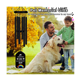 thumbnail image 6 of Pet Memorial Wind Chimes,Pet Remembrance Gift in Memory Dog Passing Away,Bereavement Windchime for Loss of, 6 of 6