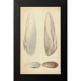 thumbnail image 2 of Wood 10x14 Black Modern Framed Museum Art Print Titled - Marine Mollusk II, 2 of 5