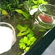 thumbnail image 5 of de Alimentos de Acuario Flotante con Taza Ajustable de Succión Forma forma forma forma Moderno L, 5 of 9
