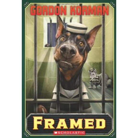 Pre-Owned Framed (Hardcover) 0545270812 9780545270816
