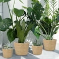 thumbnail image 6 of 6 Pcs Seagrass Planter Basket Flower Pots Cover Plant Baskets Hand Woven Plant Basket Storage Containers with Plastic Liners for Indoor Outdoor Flower Pots Decoration 10, 7, 8.3 Inch(Classic), 6 of 7