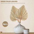 thumbnail image 4 of 4Pcs Dried Palm Leaves Dried Palm Fans Bohemian Dried Palm Spears Artificial Plants Palm Leaves Trop, 4 of 5