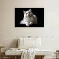 thumbnail image 2 of Elephant Stock White Persian Cat Wall Art - Horizontal Canvas Wall Art - Living Room Wall Decor - Animal Canvas - Black And Gray Decor - 36" x 24", 2 of 8