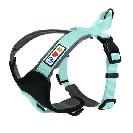 UPC: 0670579870344 | Pawtitas Padded Reflective Dog Harness Extra Small Adjustable Teal Dog Harness