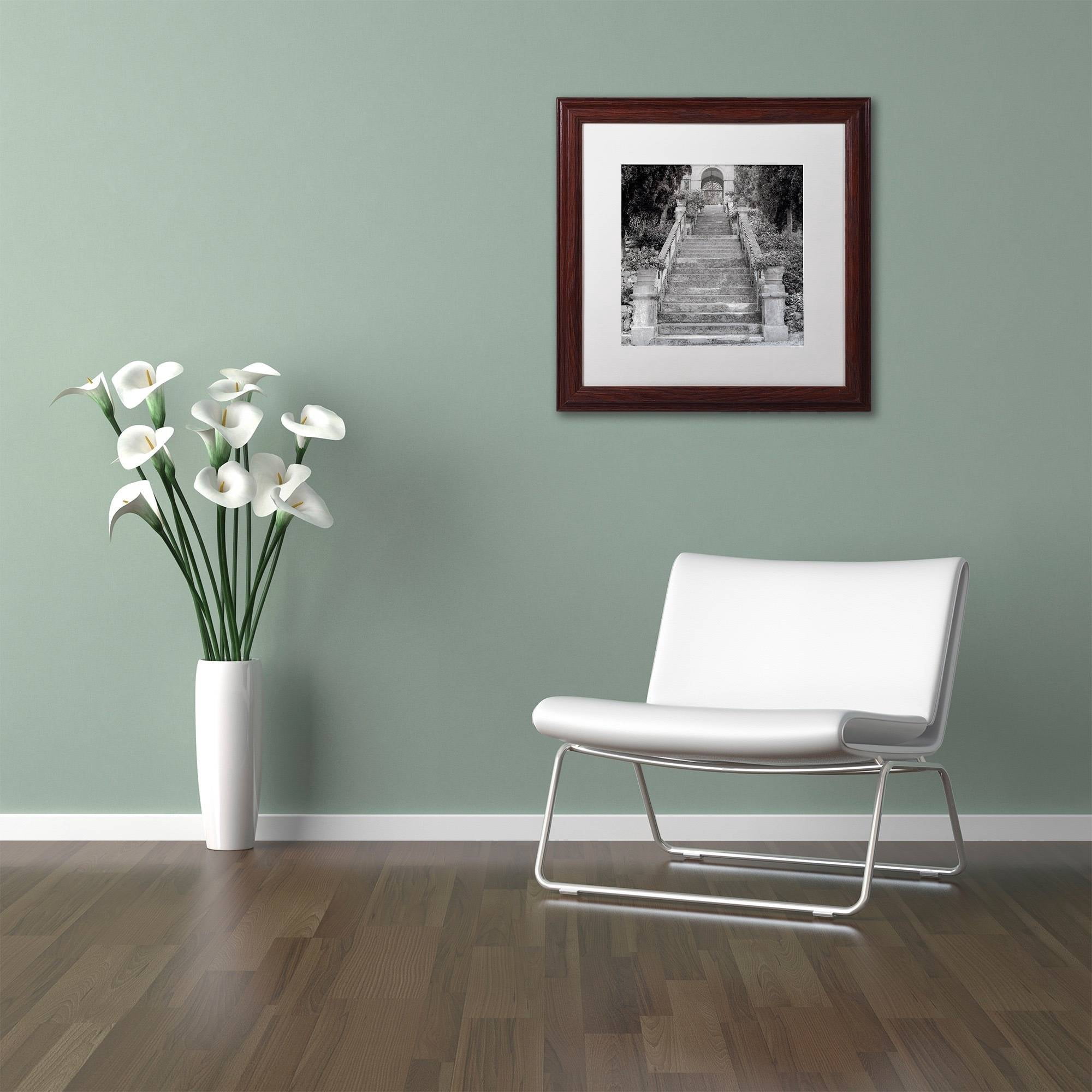 Trademark Fine Art "Liguria II" Canvas Art by Alan Blaustein, White Matte, Wood Frame