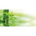 thumbnail image 4 of Plant Piggy Bank, Chinese Ecology Picture of Bamboo Sticking out of the Water Serene Atmosphere, Ceramic Coin Bank Money Box for Cash Saving, 3.6" X 3.2", Emerald Green, by Ambesonne, 4 of 4