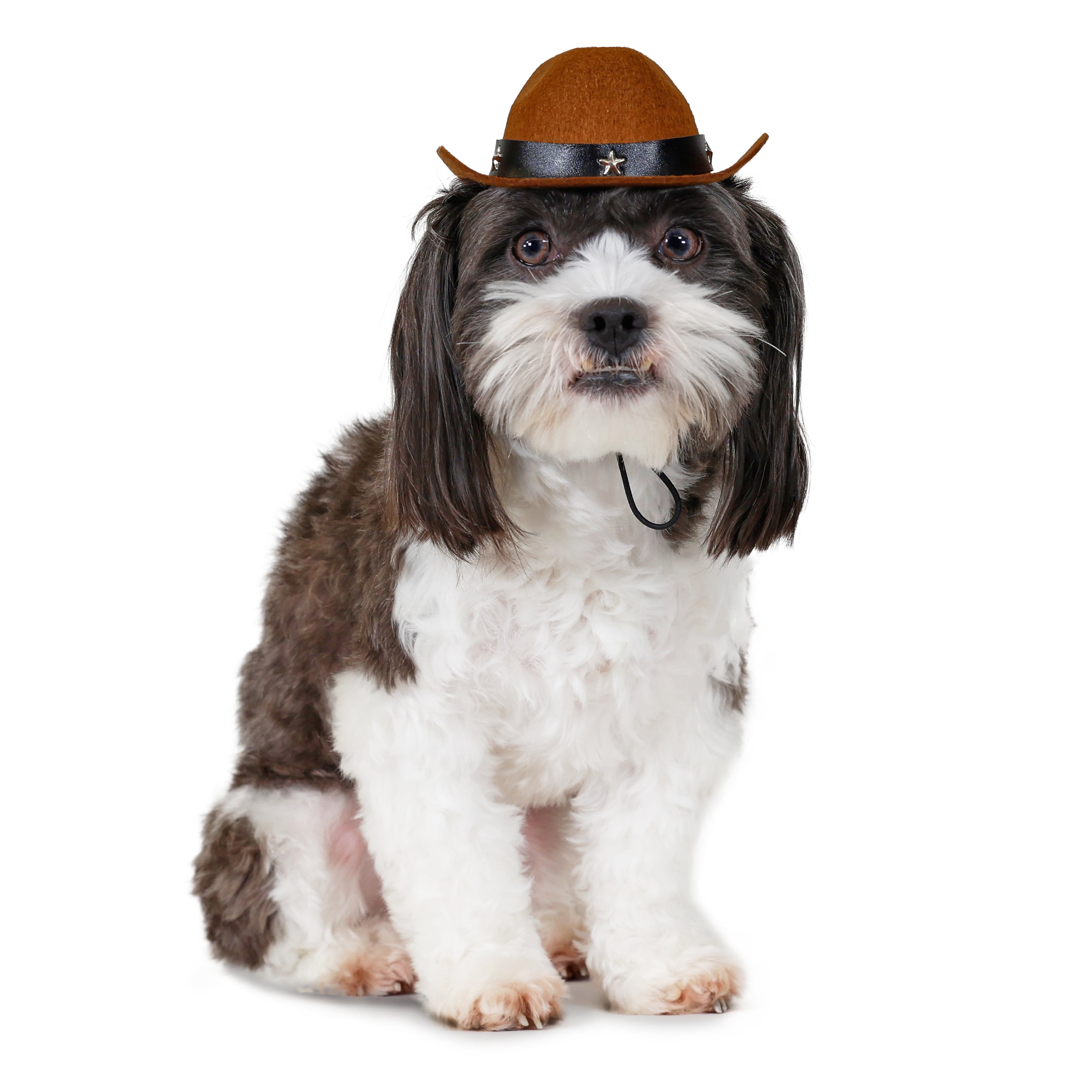 Vibrant Life Halloween Cowboy Hat Costume for Dogs & Cats, Brown, Extra Small/Small