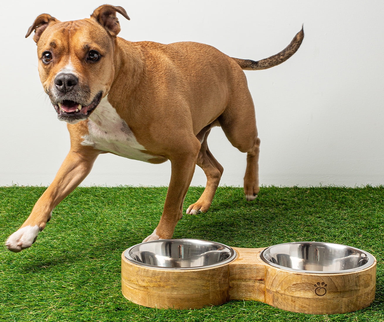 GF Pet Handmade Dog Bowl Feeder Mango Wood Elevated Removable Stainless Steel Insert for Small Medium Large Dogs, M