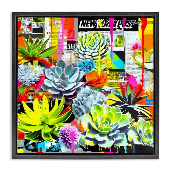 Stupell Industries Urban Graffiti Succulents Plants & Flowers Painting Black Floater Framed Canvas Art Print Wall Art, 18 x 18