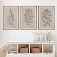 thumbnail image 2 of RSJIWOGZ Framed Canvas Print Wall Art Set Retro Vintage Sketchbook Forest Country Landscape Farmhouse Decor Nature Wilderness Illustrations Floral Botanical Retro for Bedroom - 16"x24, 2 of 7