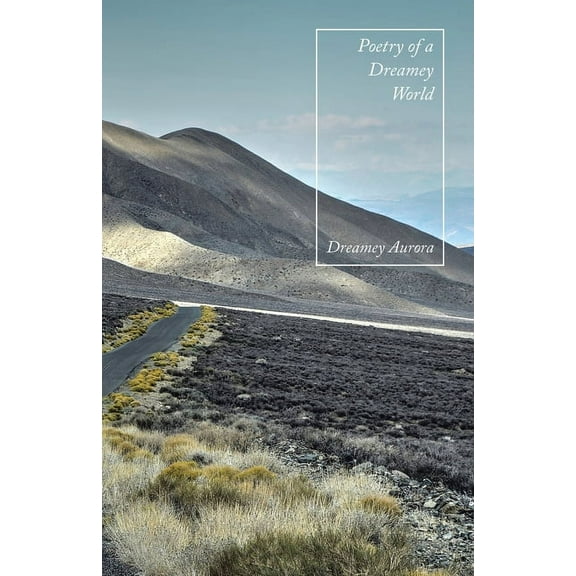 Poetry of a Dreamey World (Paperback)