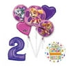 PAW PATROL SKYE & EVEREST 2nd Birthday Party Balloons Supplies Chase Ryder
