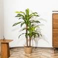 thumbnail image 4 of HiPlants 5ft Artificial Dracaena Plants in Black Plastic Pot, Faux Trees Indoor Outdoor Decor, Fake Plants for Home Decor Office Porch Patio Perfect Housewarming Gift, 4 of 7