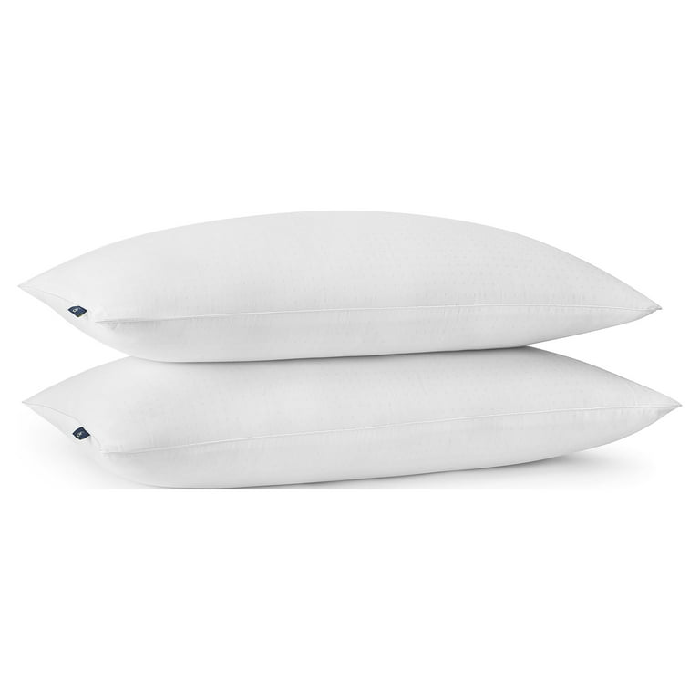 Sertapedic Won t Go Flat Bed Pillow King 2 Pack