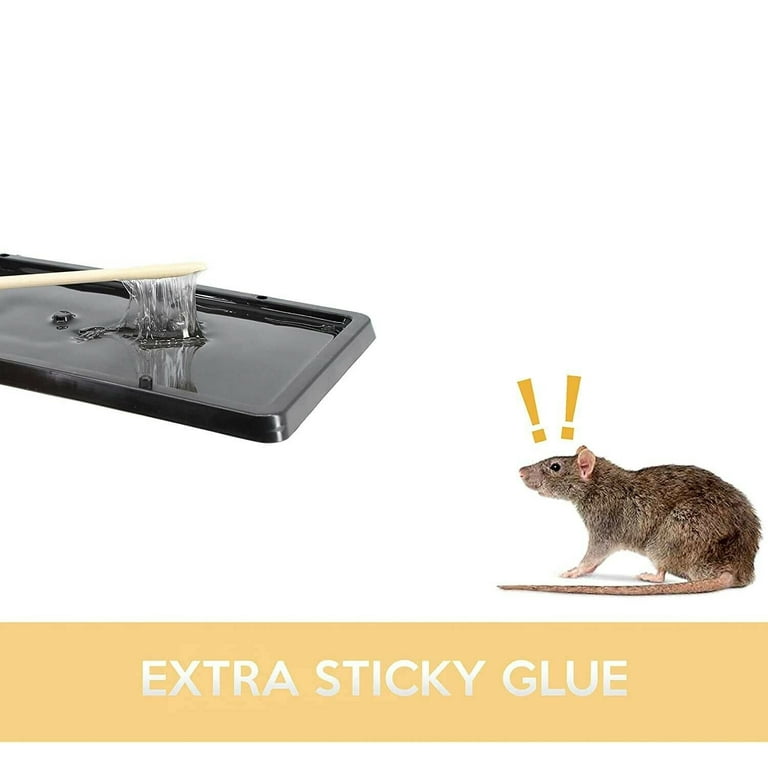 Big mouse trap rodent expert glue rat