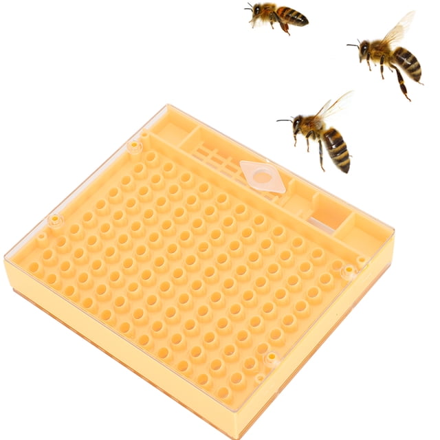 Bee King Breeding Tool, Bee King Incubator, Small Size Breeding Box Plastic For Bees Birds