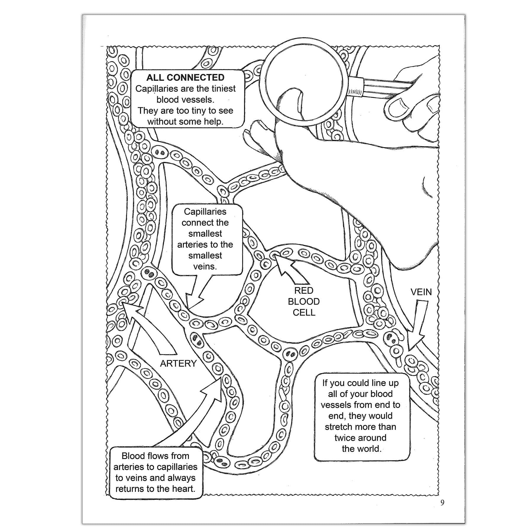 Dover Coloring Book My First Human Body Coloring Book, Pack of 6