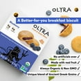 Olyra Fruit Bars STF9 Fruit Filled Breakfast Cookies Kids High