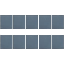 Clispeed Cage Liner Bird Cage Liner Sky-blue 10 Sheets