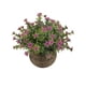 thumbnail image 1 of Planta artificial en maceta, perfecta para decoración interior del hogar y la oficina, doble flor, rosa Sailing Electrónica, 1 of 5