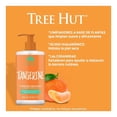 thumbnail image 3 of Jabon Liquido Para Manos Tree Hut Mandarina 325 ml, 3 of 4