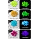 thumbnail image 3 of Fish Tank Luminous Stone Mini Small Luminous Pebbles for Fish Tank Aquarium Bonsai Yard Decor, 3 of 5