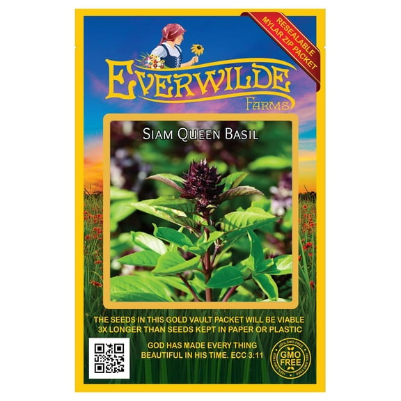Everwilde Farms - 500 Siam Queen Basil Herb Seeds - Gold Vault Seed Packet