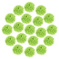 thumbnail image 1 of 20Pcs Pompones de Papel, Flores de Papel de 4 Pulgadas, Flores de Papel de Seda, Flores de Papel Mexicanas para Fiestas de Cumpleaños y Bodas, Verde Claro, 1 of 6