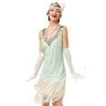 thumbnail image 5 of Robe à Double Pompon Col en V Costume de Cosplay Gatsby Parfait Cocktail Fête Danse Charleston Robe à Sequins Costumes de Danse Latine, 5 of 5