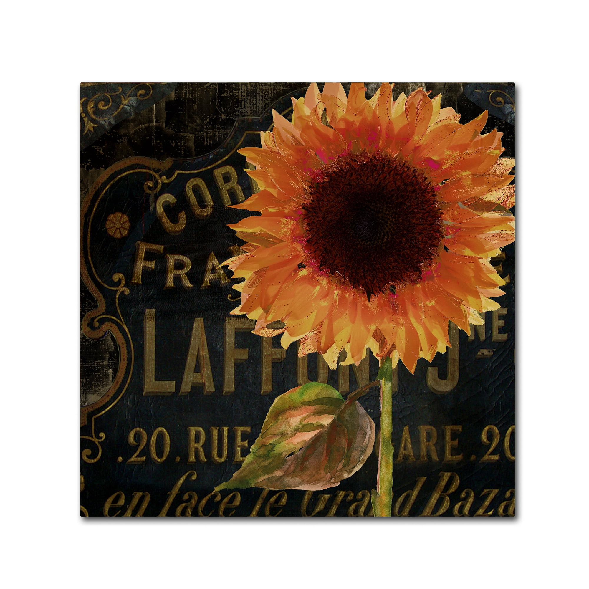 Trademark Fine Art "Sunflower Salon II" Canvas Art by Color Bakery
