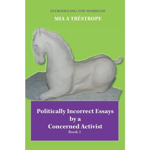 Politically Incorrect Essays by a Concerned Activist: Book 1