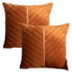 thumbnail image 1 of Paquete de 2 cojines de terciopelo holandés para sala de estar, sofá, oficina, reposacabezas, funda de almohada, 1 of 6