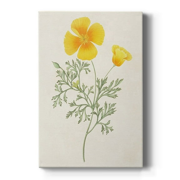 Flowers of the Seasons IX Premium Gallery Wrapped Canvas - Ready to Hang