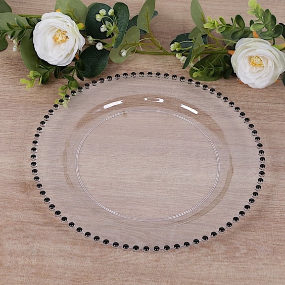 BalsaCircle 10 Round 10" Clear Black Disposable Plastic Salad Plates Beaded Trim Party Events Home Decorations Supplies