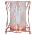 thumbnail image 2 of Maceta de Cristal Jadeshay Florero Hidropónico de Hierro y Vidrio Color Oro Rosa, 2 of 8