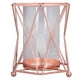 thumbnail image 2 of Maceta de Cristal Jadeshay Florero Hidropónico de Hierro y Vidrio Color Oro Rosa, 2 of 8