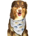 thumbnail image 5 of Dog Bandanas, Cartoon Cute Chameleon Lizard_B Adjustable Dog Scarf Triangle Bib Handkerchief Accessories for Small Medium Large Dogs, Cats, Pets, 5 of 6