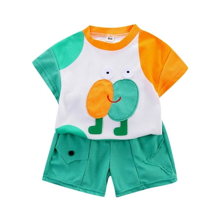 

ZRBYWB Kids Toddler Baby Unisex Spring Summer Print Cotton Ribbed Short Sleeve Tshirt Shorts Outfits Clothes Summer Clothes