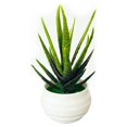 thumbnail image 2 of Simulation Potted Plant Artificial Perfect Plastic Display Mold Bonsai for Home Decor, 2 of 8