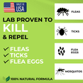 thumbnail image 2 of Nature’s Dome Outdoor Flea & Tick Spray – 1 Gallon Refill – Kills & Repels Fleas, Ticks, Larvae & Eggs – Plant-Based Pest Control for Yard, Lawn & Patio – Safe for Pets, Kids & Plants, 2 of 15