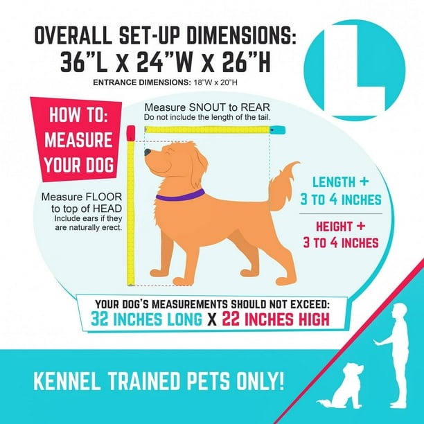 What Size Kennel Should I Get for My Dog: Ultimate Guide 2025