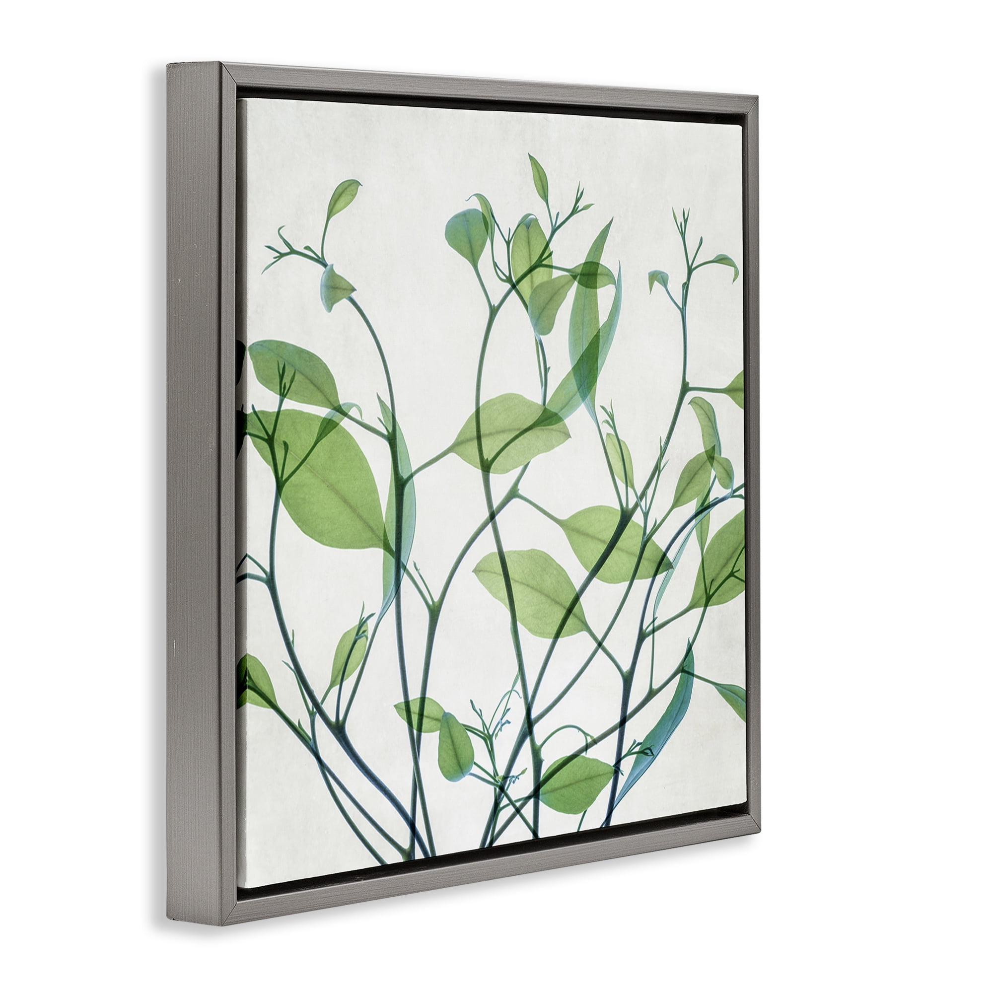 Stupell Industries Twisting Green Vines Botanical & Floral Painting Gray Floater Framed Art Print Wall Art, 25 x 25