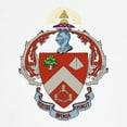 thumbnail image 3 of CafePress - Triangle Coat Of Arms Baseball Jersey - Cotton Baseball Jersey, 3/4 Raglan Sleeve Shirt, 3 of 4